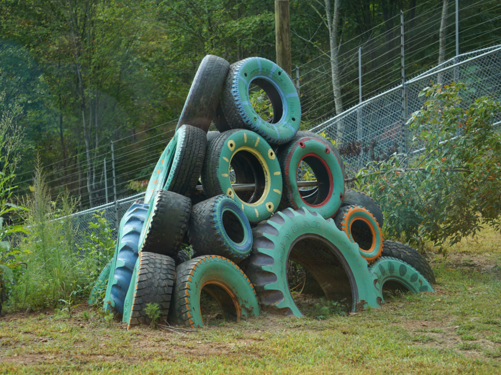 View of Chimpanzee Habitat at Project Chimps