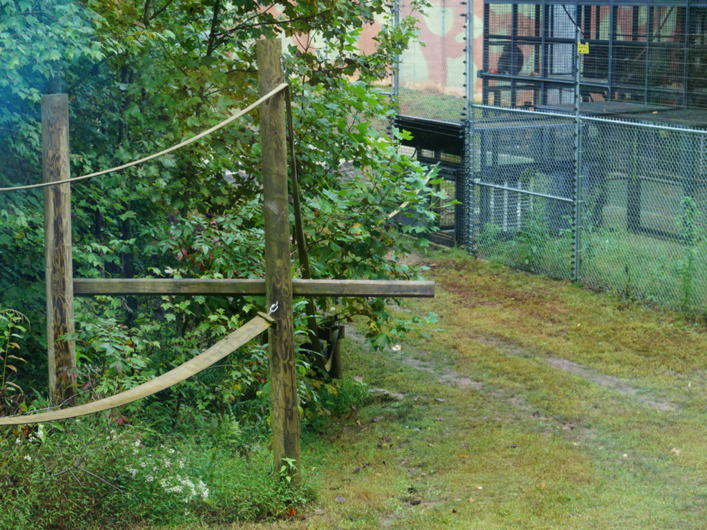 View of Chimpanzee Habitat at Project Chimps