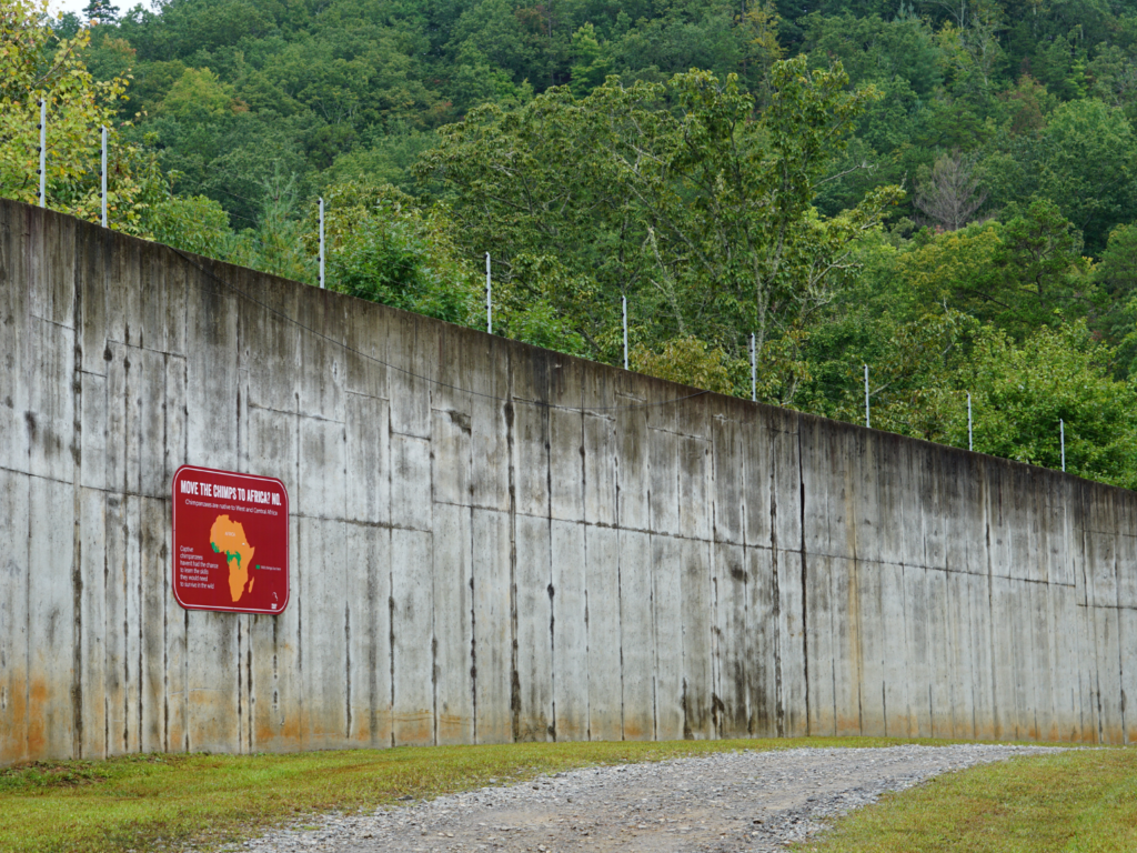 Project Chimps habitat wall.