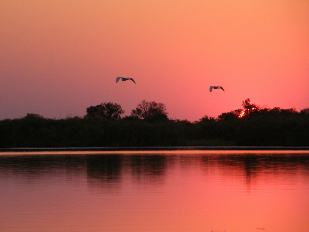 Famous Okavango Delta Sunset.