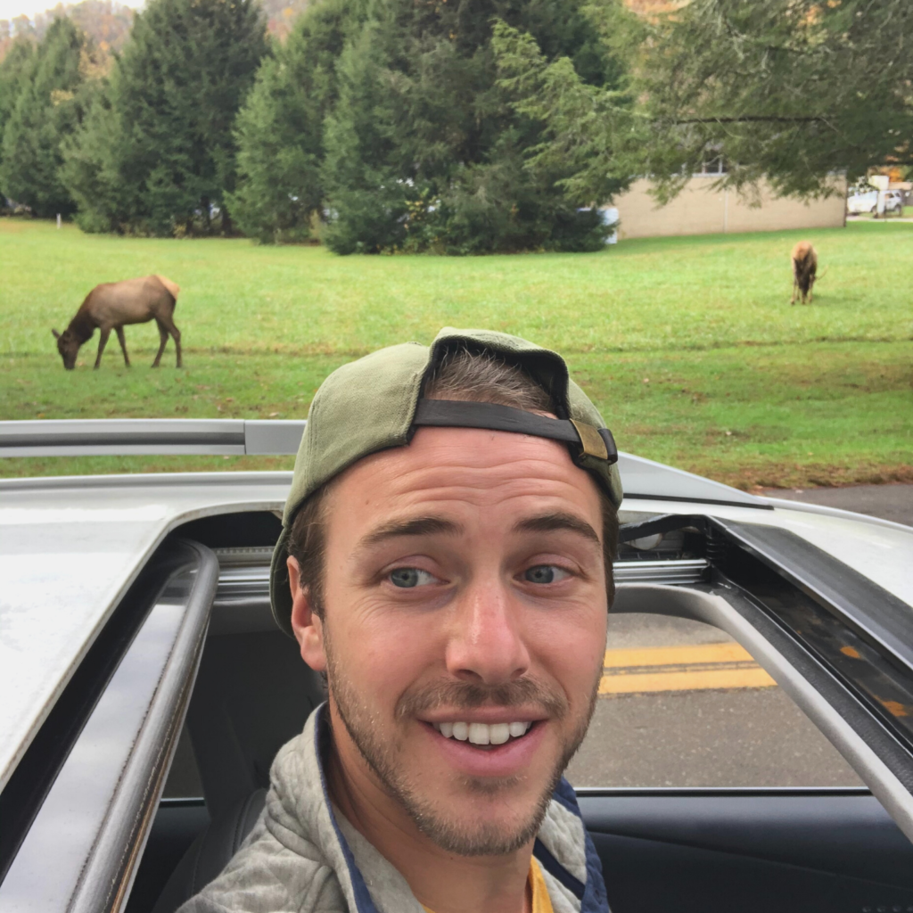 Viewing elk Great Smoky Mountains National Park