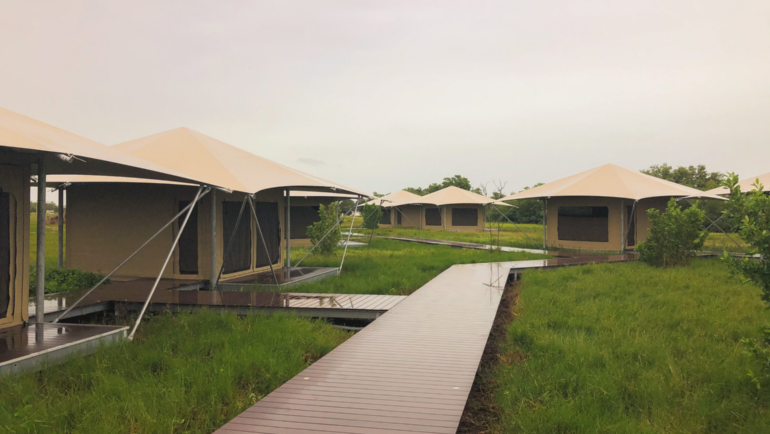 Glamping safari tents of Everglades National Park