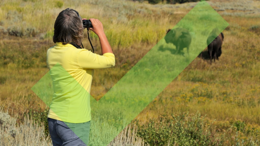 women looking at bison from a distance