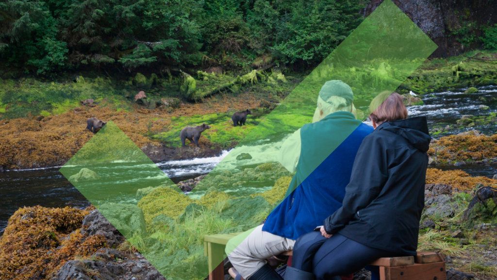 Two people watching wild brown bears fishing