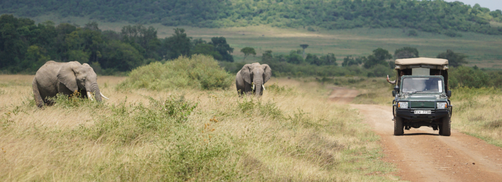 two elephants near a safari jeep in Masai Mara National Reserve