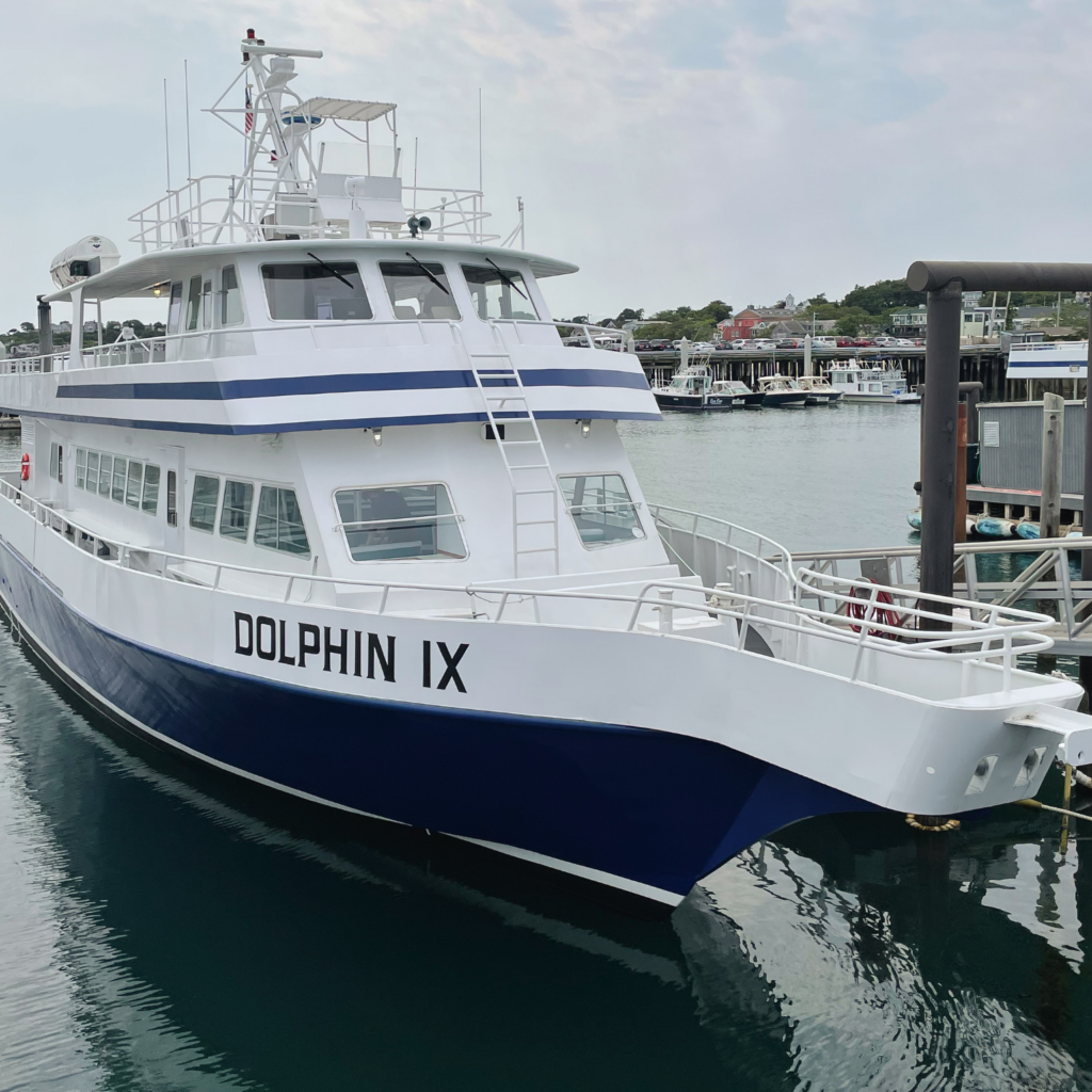 Whale watching boat in the Provincetown Marina