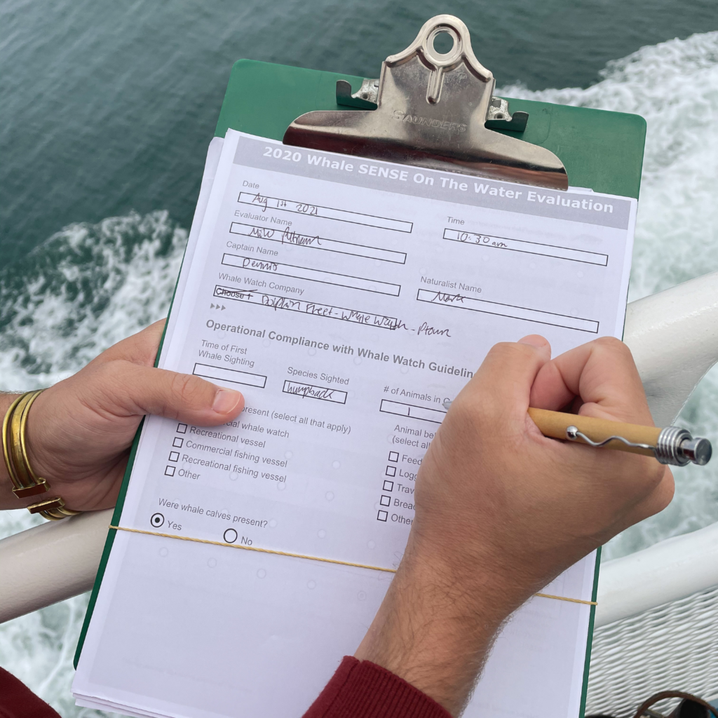 Whale SENSE on the water evaluation form whale watching