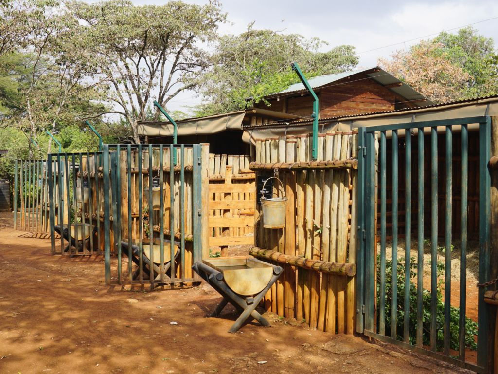 Empty elephant orphan stalls at Sheldrick Wildlife Trust