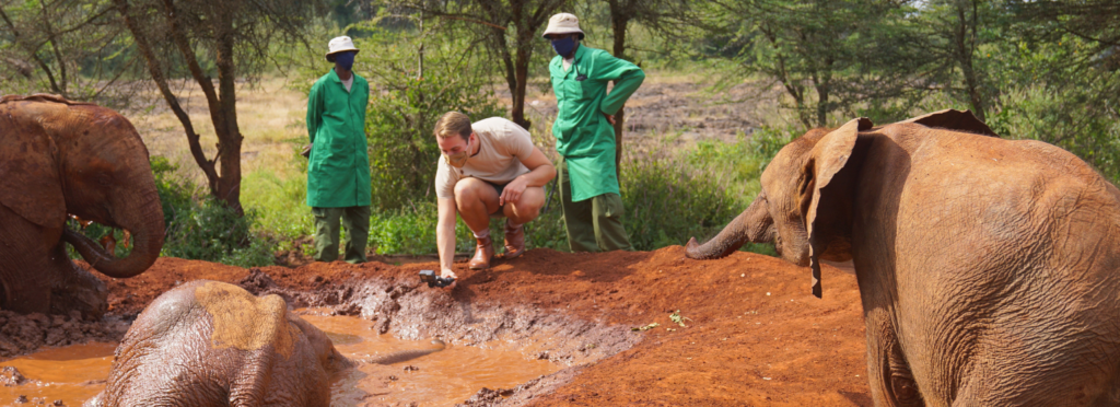 three men watching baby elephants play in the mud