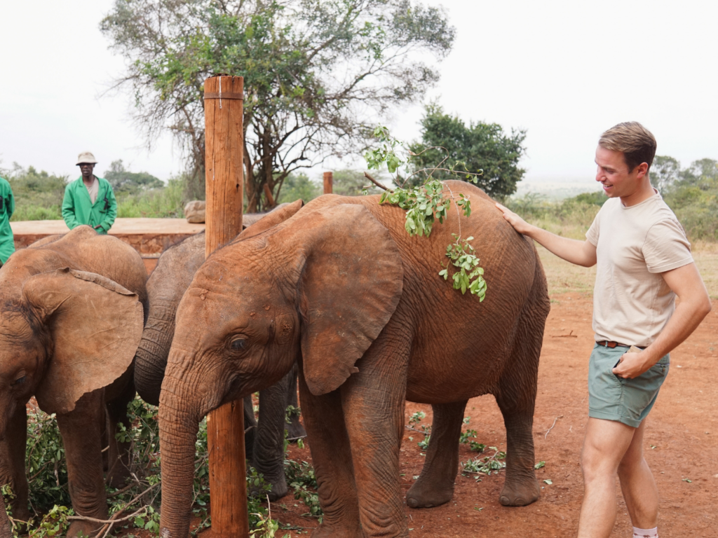 Man meeting baby elephants in Nairobi Kenya