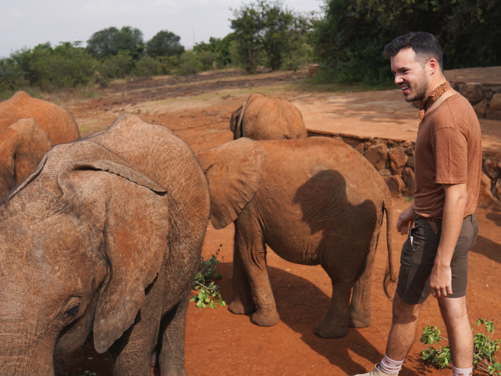 Man standing with baby elephants in Nairobi Kenya