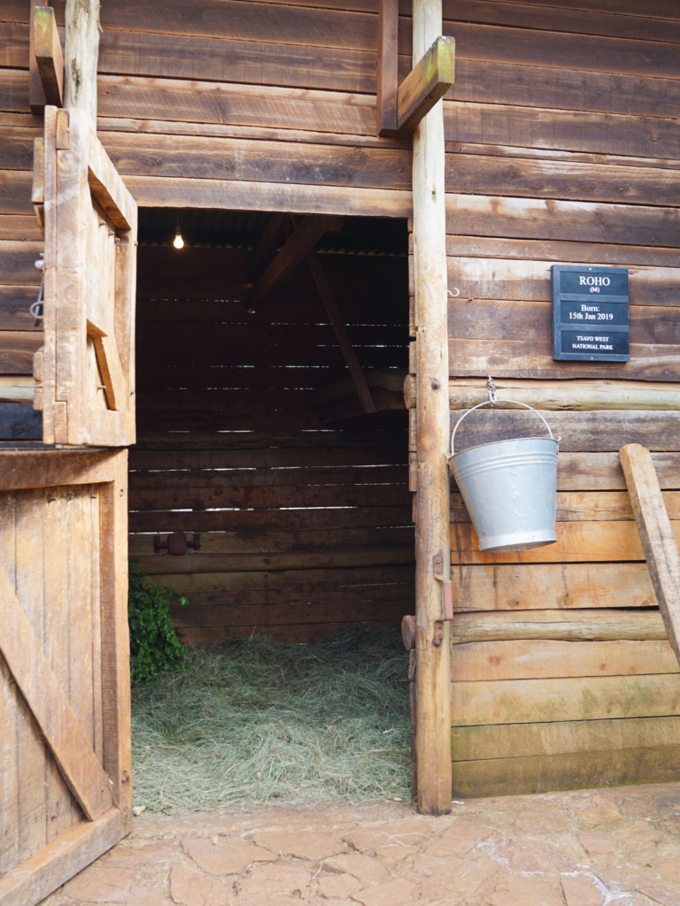 elephant stall at Sheldrick Wildlife Trust