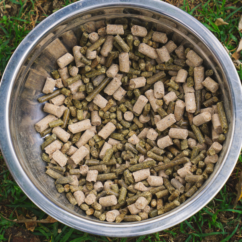 Bowl of dried pellets fed to giraffes at Giraffe manor