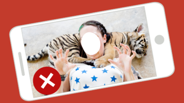 Abusive animal selfie with a sleeping tiger cub