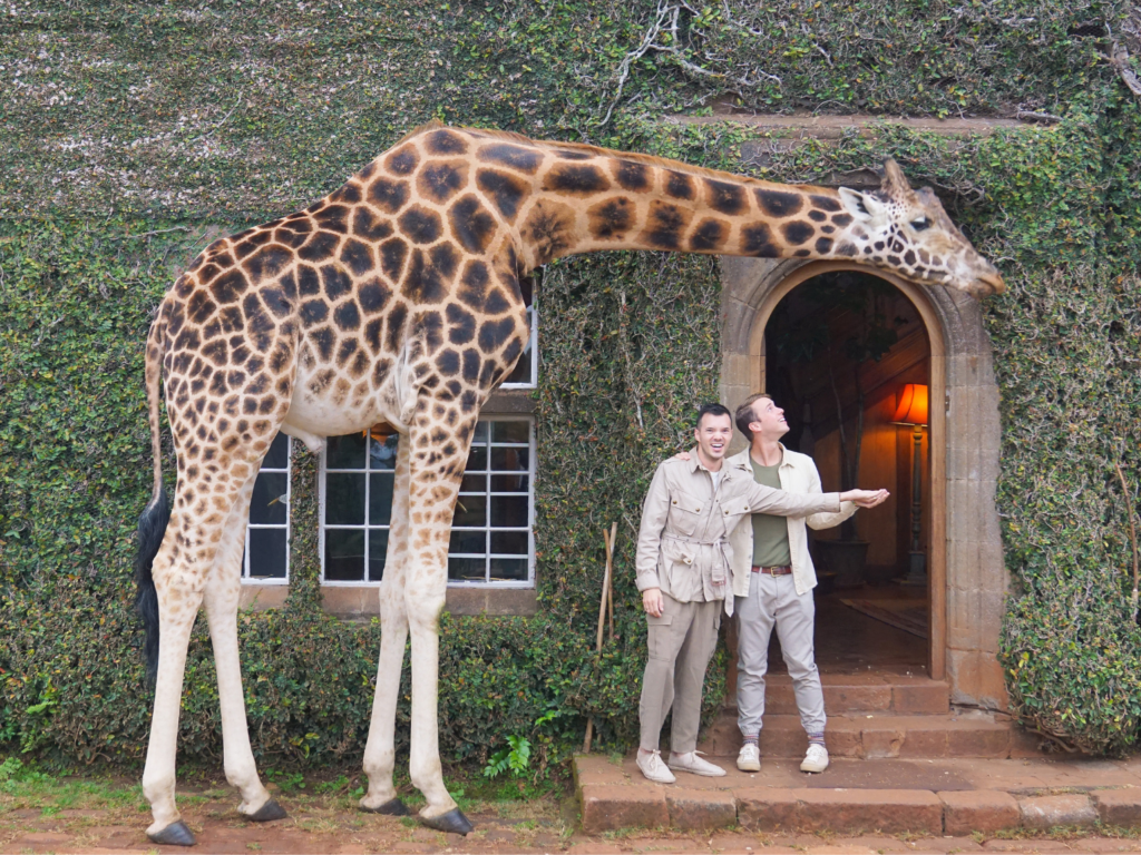 a gay couple feeding a giraffe at Giraffe manor in Nairobi, Kenya