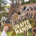 Giraffe Manor