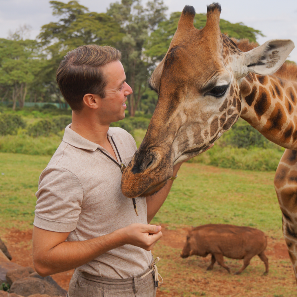 Gay man feeding a giraffe at Giraffe Manor