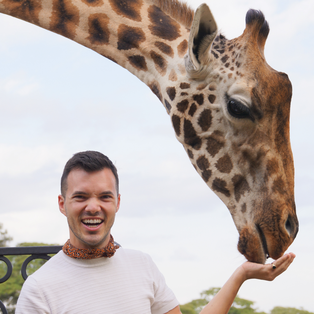 young man feeding a giraffe