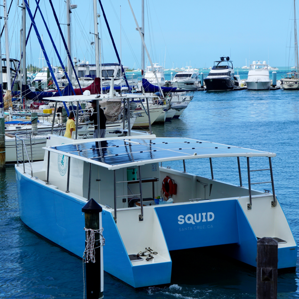 Honest Eco Dolphin Watch Tours Squid Electric solar powered Boat key west Florida