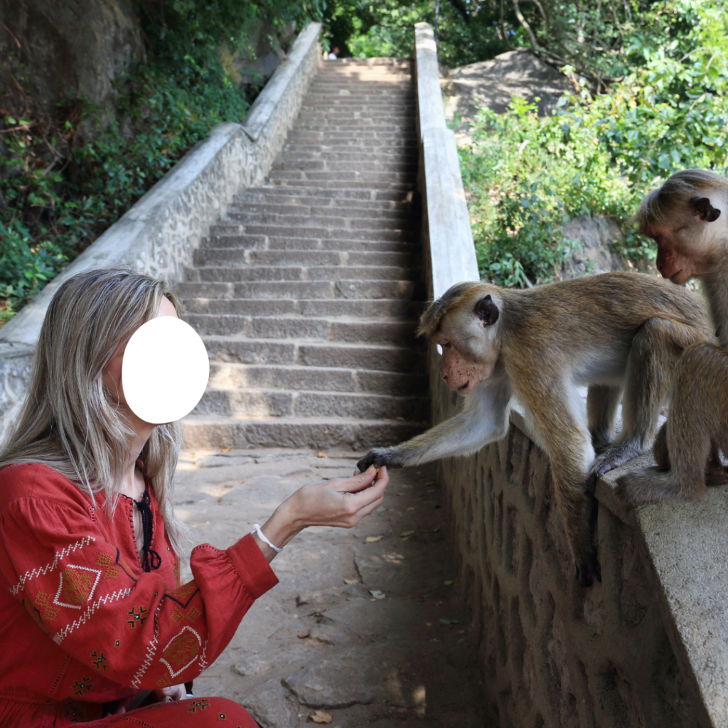 Tourist feeding wild monkeys