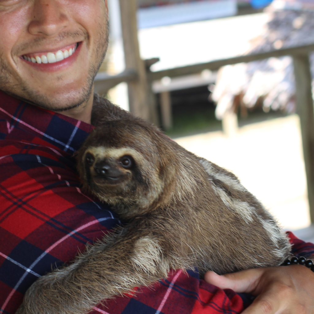 captured sloth being forced to pose for photos