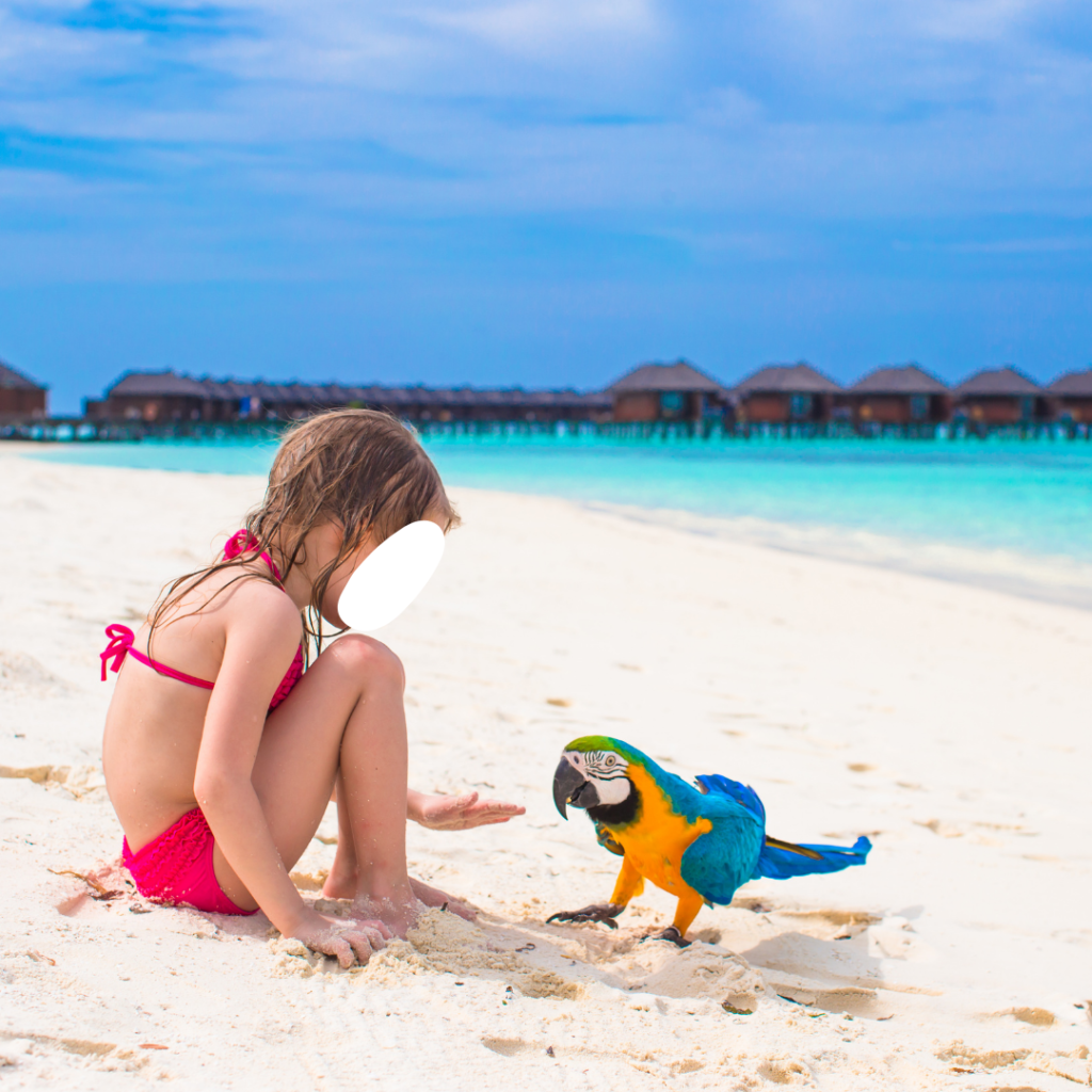 child tourist with parrot on the beach