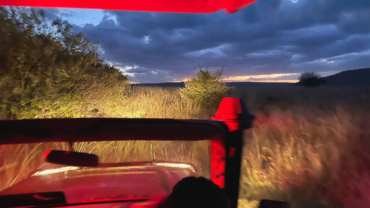 female safari guide driving a night game drive