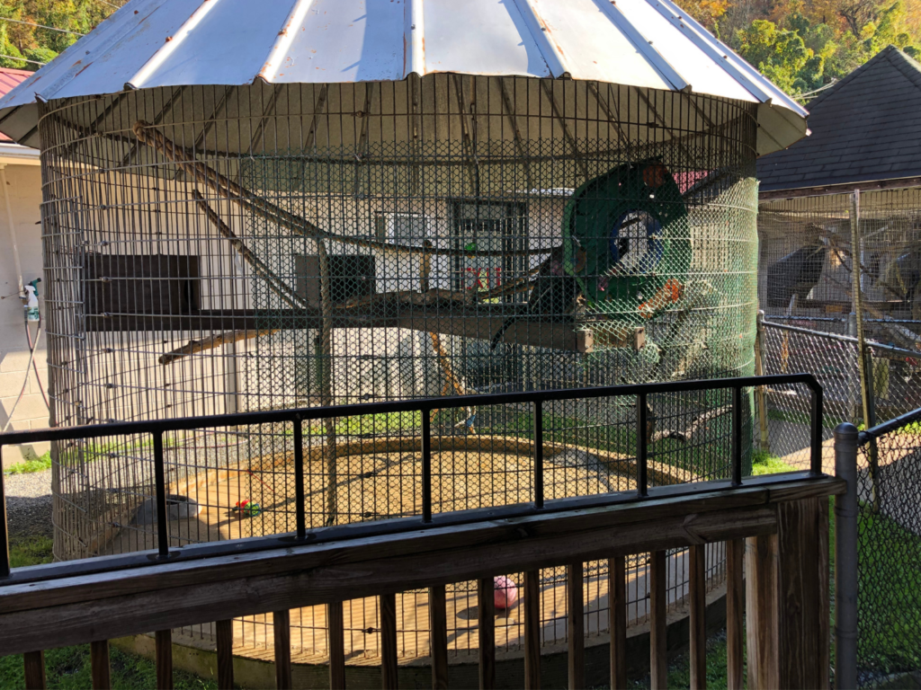 Roadside zoo corn crib cage