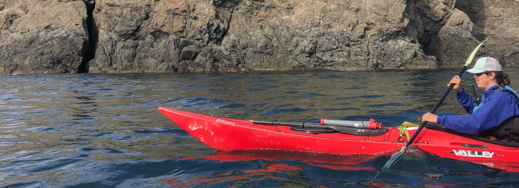 ethical whale watching kayaking tour