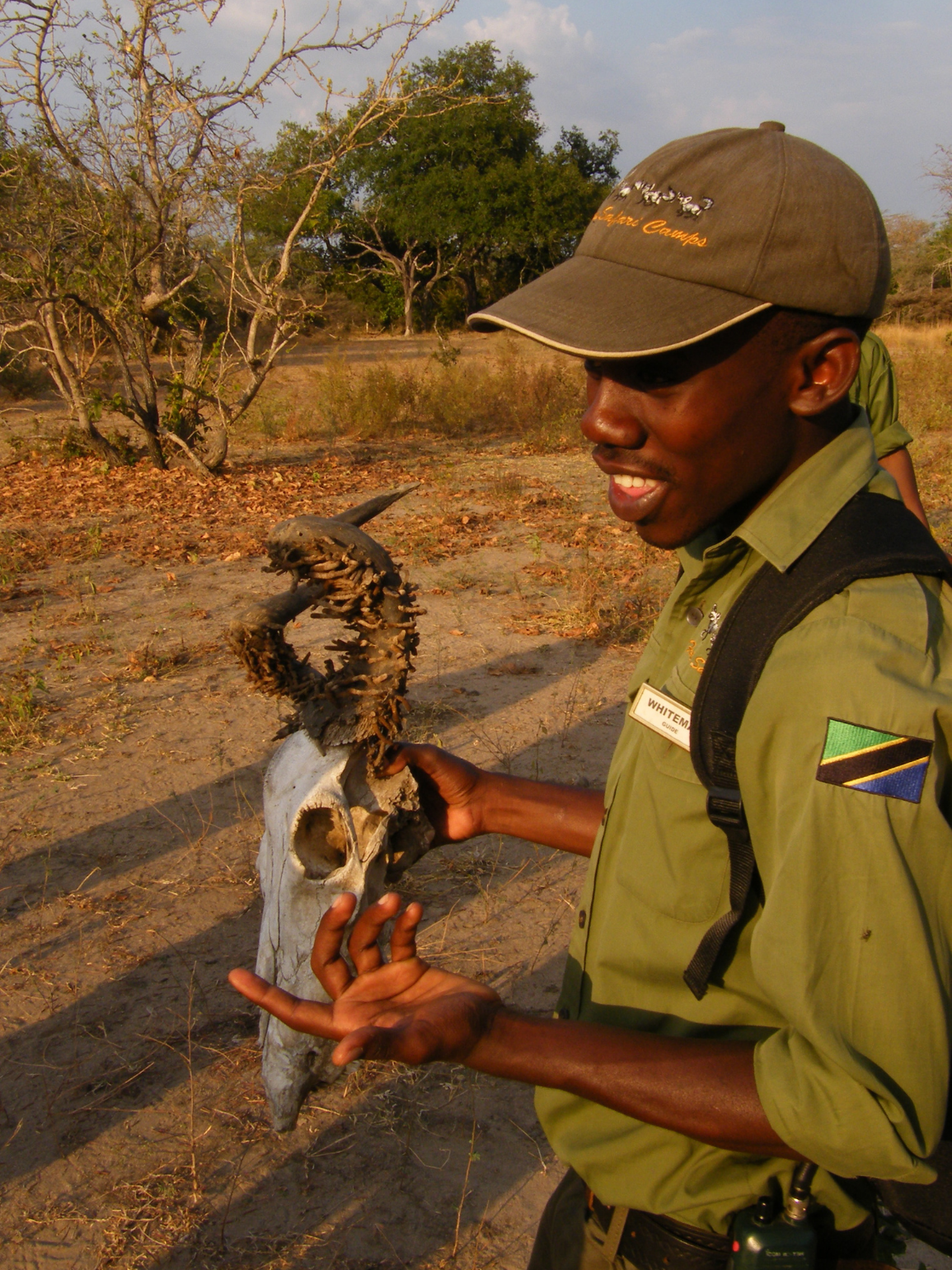 Walking safari Selous Game Reserve