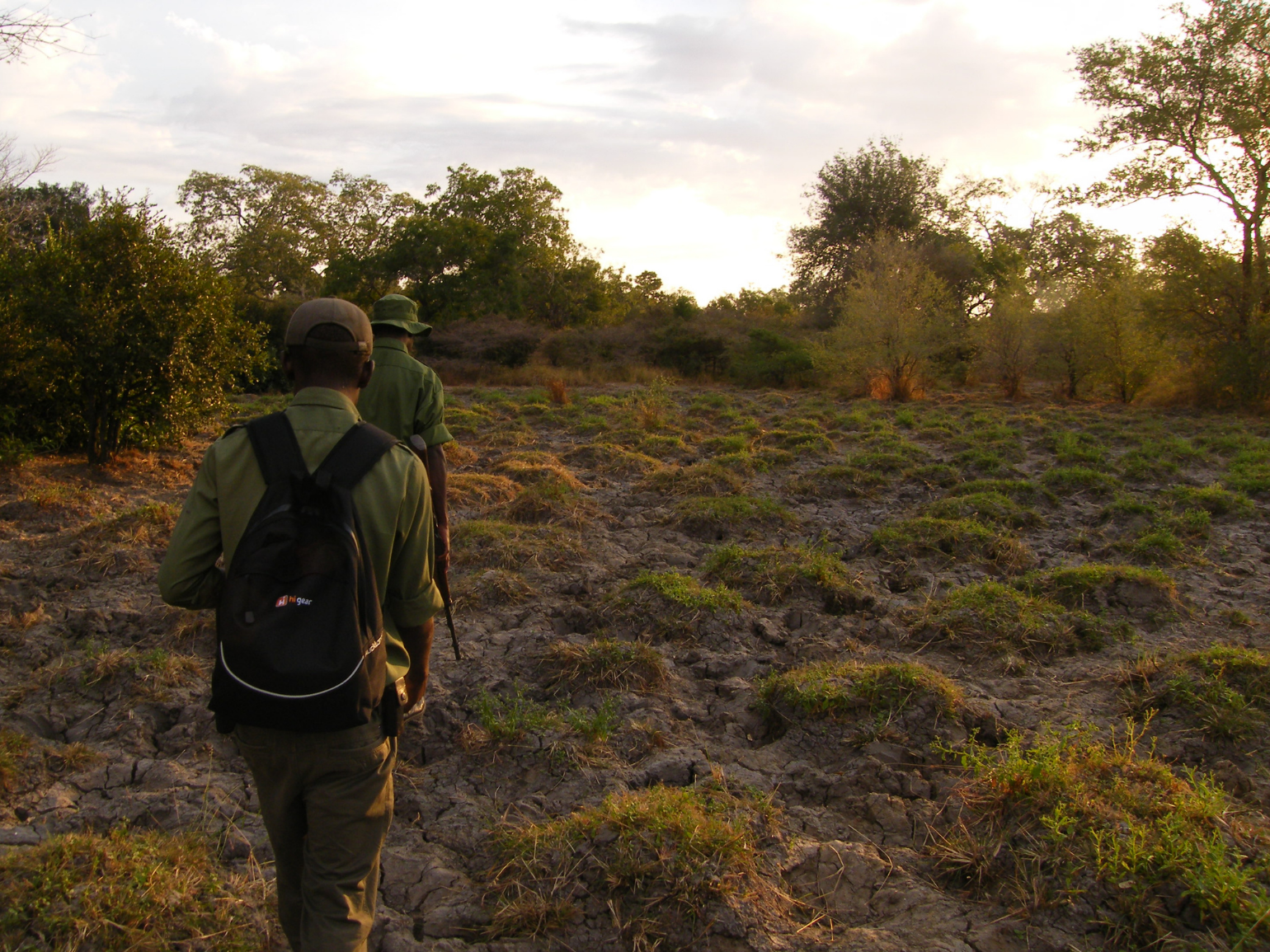 Walking safari in Selous Game Reserve, Tanzania.