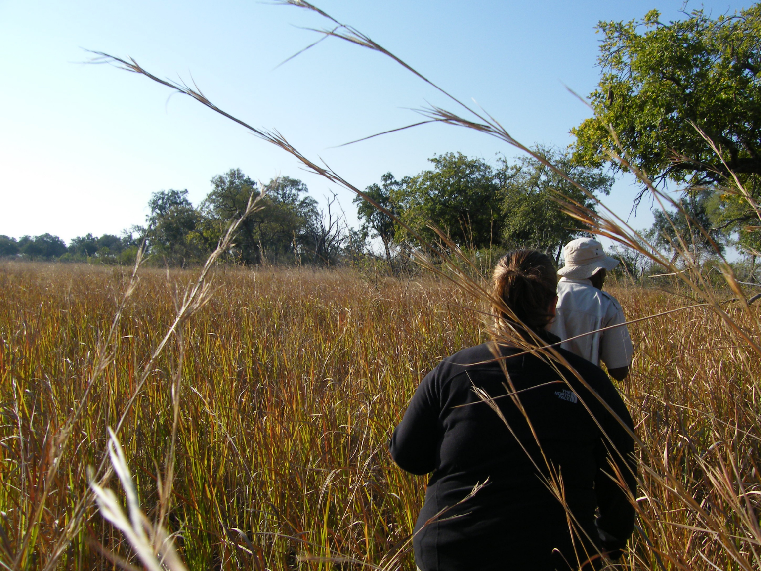 Walking safari in the Okavango Delta, Botswana.