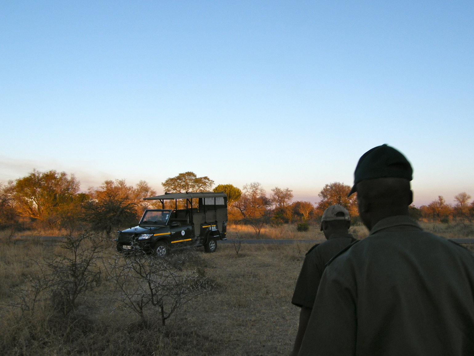 Walking safari in Kruger National Park, South Africa.