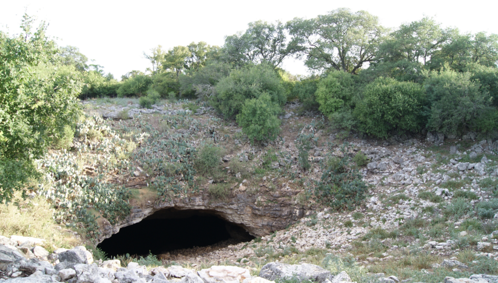 Bracken Cave's main entrance and exit for the bats