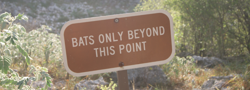 'BATS ONLY BEYOND THIS POINT' sign to remind Bracken Cave visitors where to observe ethically.